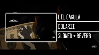 Lil Cagula - Dolarii (Slowed + Reverb)