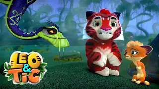 Leo & Tig - Episode 4 🐯 Autumn in Taiga | Super Toons - Kids Shows & Cartoons