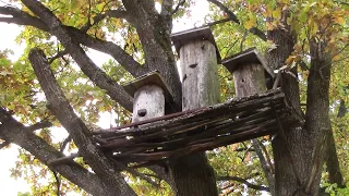 Institute of Beekeeping, Museum of Ukrainian Beekeeping, Feofania, Kyiv Ukraine. Old Style Log Hives