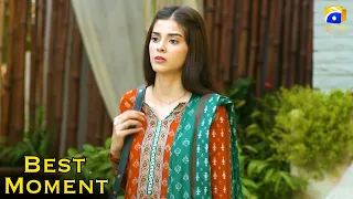 Nikah Episode 50 | 𝐁𝐞𝐬𝐭 𝗠𝗼𝗺𝗲𝗻𝘁 𝟎𝟓 | Haroon Shahid | Zainab Shabbir | HAR PAL GEO