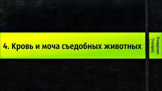 4. Кровь и моча съедобных животных - Очищение (тахара)