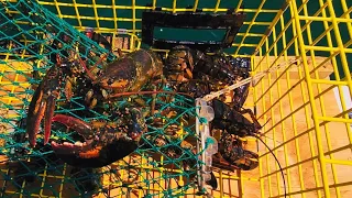 I Put My GoPro in a Lobster Trap! 😲 | New England Lobster Trap Footage | 🦞