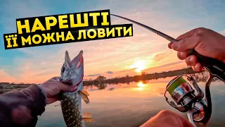 НАРЕШТІ ЇЇ МОЖНА ЛОВИТИ: щука на джиг у квітні