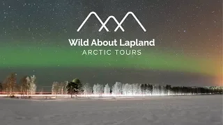 Visit Lapland