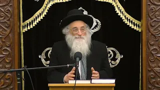 Rav Moshe Meiselman: Walder Is A Rasha Merusha