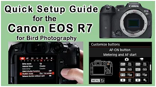EOS R7 Quick Setup Guide for Bird Photography: 25 minute version (May, 2023)