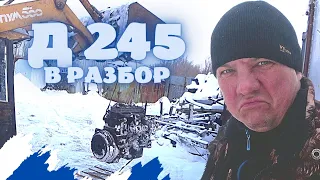 🔥РАЗБИРАЕМ МОТОР Д 245 СО СГОРЕВШЕГО ВАЛДАЯ