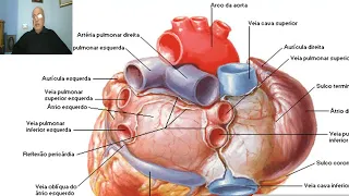 Anatomy for applied medical science(Respiratory Department) (Heart, part 1 ), by Dr.Wahdan