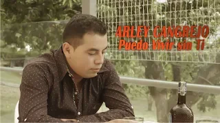 Puedo Vivir Sin Ti  -  Arley Cangrejo [Video Oficial] - Musica Popular - Despecho