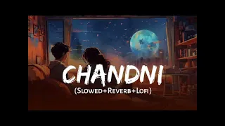 Chandni (Slowed + Reverb) | Sachet Tandon, Parampara Tandon | Lofi Music 🎶🎵