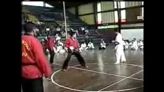 Kung Fu vs Karate  KO  The REALITY OF FIGHTING