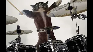 Песня кота Леопольда - зову мышей на бой - metal (suno AI cover)