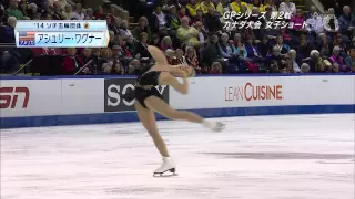 Ashley WAGNER 2014 Skate Canada SP