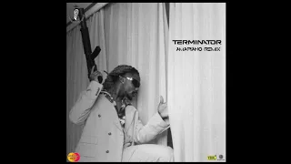 DJ Medna & Asake - Terminator Amapiano Remix