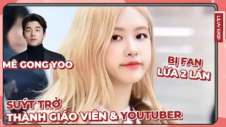 86 Sự Thật Thú Vị Về Rosé | LILY FUN FACTS