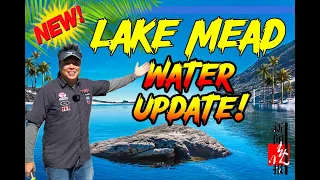 New Lake Mead Water Report and Its Amazing! Have a Look!