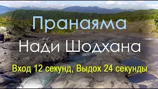 Нади Шодхана Пранаяма - Вход 12 секунд Выдох 24 секунд (на природе)