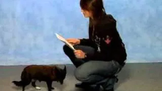 Willow the Reading dog for People Magazine  People Pets