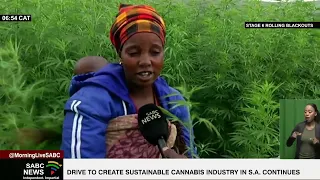 Drive to create sustainable cannabis industry in SA continues