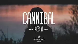 Kesha - Cannibal (Lyric Video)