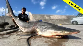 Shark Capture Operation