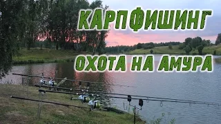 Карпфишинг. Секреты маркерования и охота на амура!