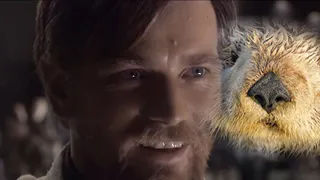 Obi Wan Talks About Sea Otters.