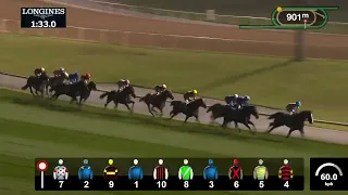 Dubai world cup 25.3.23 Race 8 sheema classic EQUINOX WITH CRISTOPH LAMAIRE