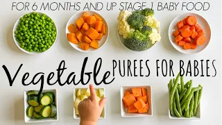 8 VEGETABLE PUREE  for babies 6 months and up