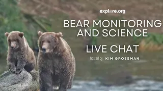 Bear Monitoring and Science | Brooks Live Chat