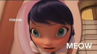 Miraculous Ladybug Season 5 but it's completely out of context (p.s it's very chaotic)