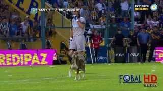 El perro se robó el espectáculo | R. Central 1 - River 1 | Torneo Final 2014 - Fecha 2 |HD|