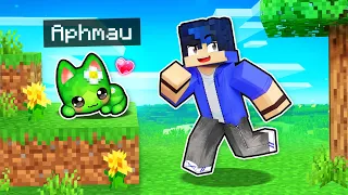 My SECRET Cute Kitten CHEATS In Minecraft!