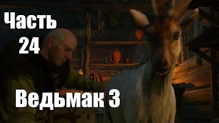 The Witcher 3: Wild Hunt - Ворожей и коза № 24