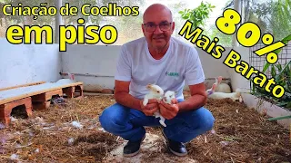 Como Criar coelhos soltos em piso?