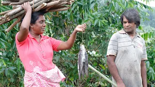 Black Catfish-You can taste it as  traditional fish curry made in our village.village kitchen recipe