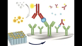 Understanding Immunoassay Analyses - Principles and Applications (4 Minutes Microlearning)