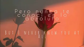 The Technicolors - Neon Roses (Sub español - inglés)