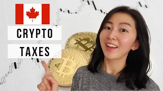 TAX MANAGER EXPLAINS Crypto Taxes for Beginners