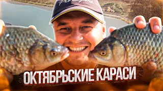 ОКТЯБРЬСКИЕ КАРАСИ, ОСЕНЬ.  ЛОВЛЯ НА ДОННУЮ СНАСТЬ