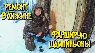 РЕМОНТ В ЛЕСНОЙ ХИЖИНЕ. ПОКРАСИЛ ДВЕРИ И РАМУ. ФАРШИРУЮ ШАМПИНЬОНЫ. WINTER SOLO BUSHCRAFT CAMP.