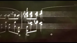 Nocturne Op. 48, No. 1 - Chopin (Animated Sheet Music)