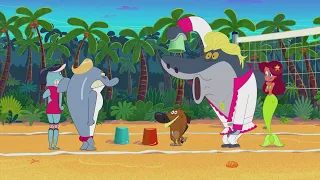 Zig and Sharko (हिन्दी) - Volcano Master Lets Get Fit! cartoon Hindi