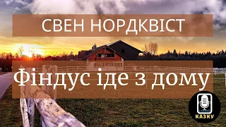 Фіндус іде з дому 🎧 Слухай казку 🎧 для дітей українською