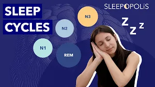 The Sleep Cycle: How It Works And Explaining The 4 Stages of Sleep!