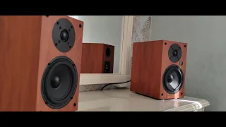 Fiero BHS-250. 100Watt. Качают что надо