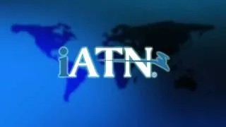 What is the International Automotive Technicians Network (iATN)?