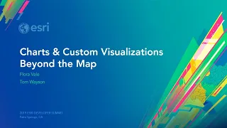Charts and Custom Visualizations Beyond the Map