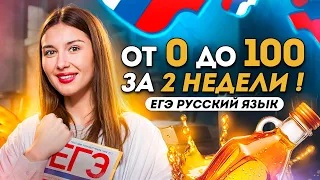 Как подготовиться к ЕГЭ по РУССКОМУ ЯЗЫКУ за 2 НЕДЕЛИ? СИРОП 4.0