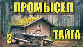 ПРОМЫСЕЛ В ГЛУХОЙ ТАЙГЕ БАРГУЗИНСКИЙ СОБОЛЬ НОЧЕВКА  ЛЕСУ ПУШНИНА  ОДИН С ЛАЙКОЙ ОТШЕЛЬНИКИ 2